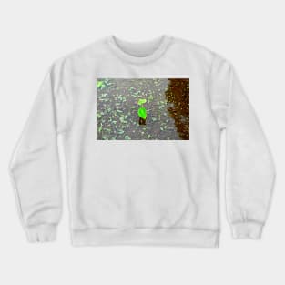 Iao Valley State Monument Study 4 Crewneck Sweatshirt